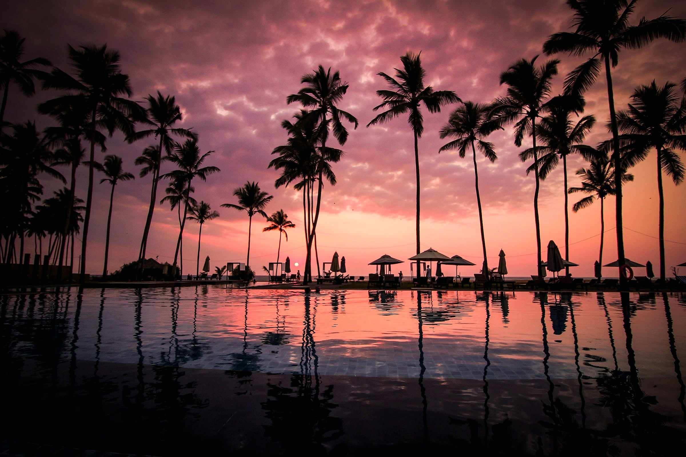 Palm trees silhouetted against a pink sunset