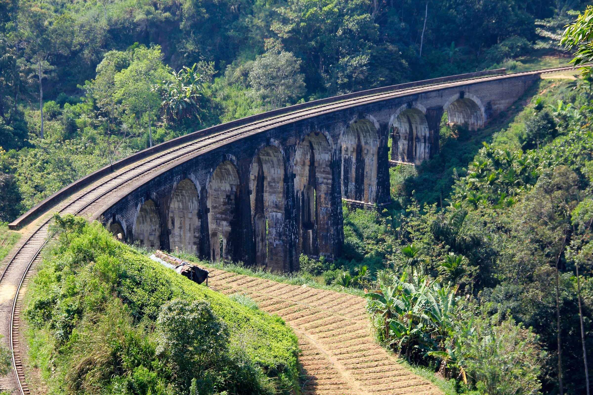 The Nine Arch Bridge curving through the forest near Ella