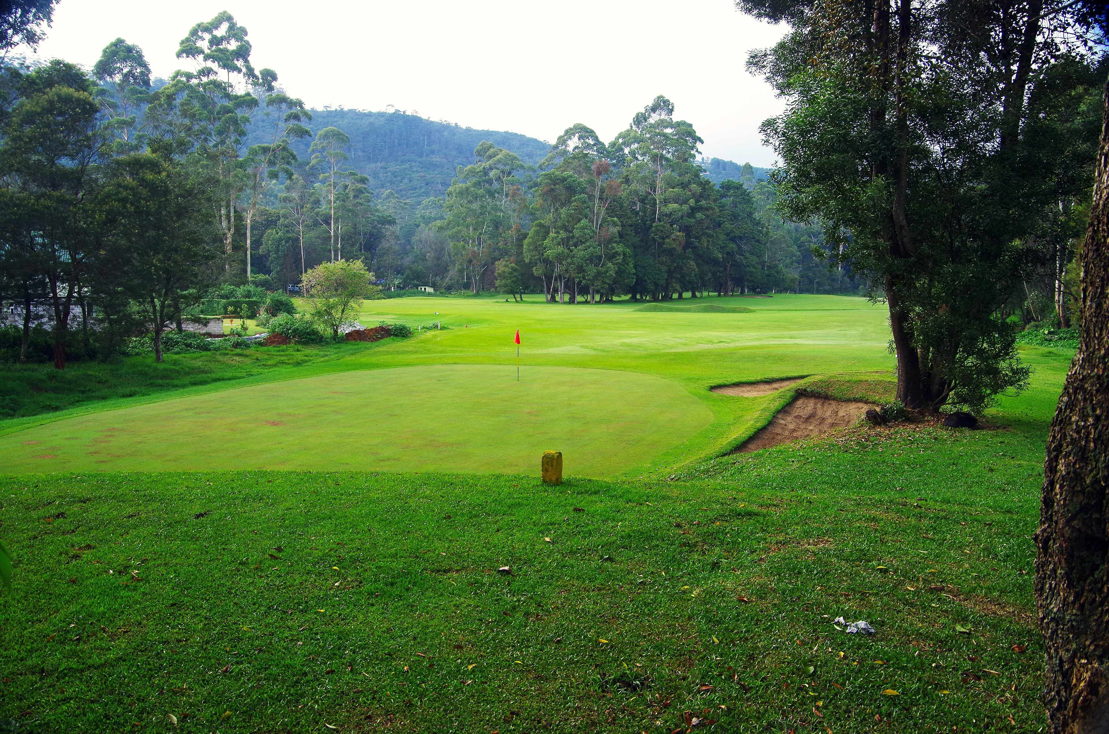 Fairway lined with tall trees at the Nuwara Eliya golf course
