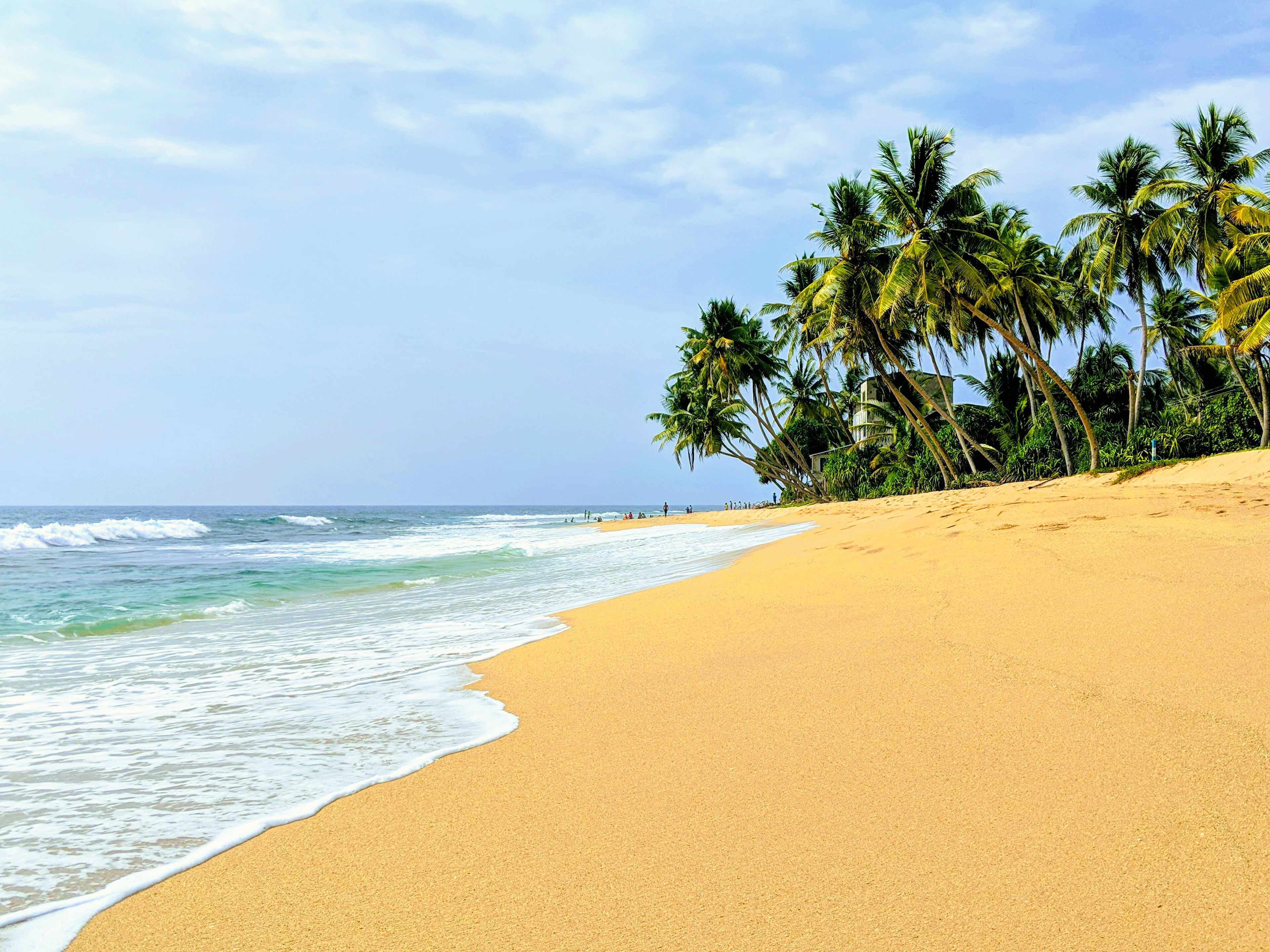 Golden sand and palm trees on Hikkaduwa beach