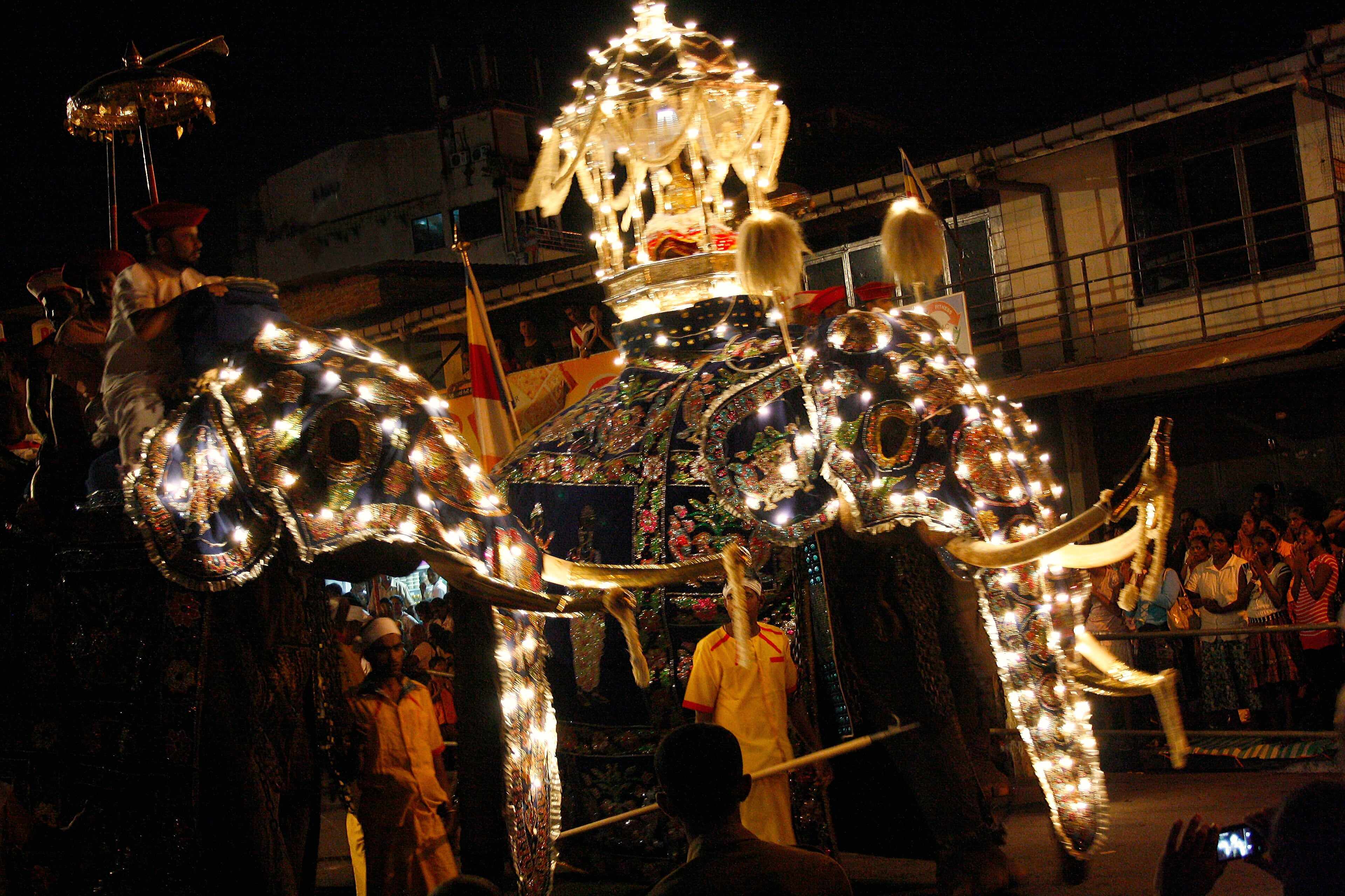 Elephants in illuminated costumes at the Kandy Esala Perahera